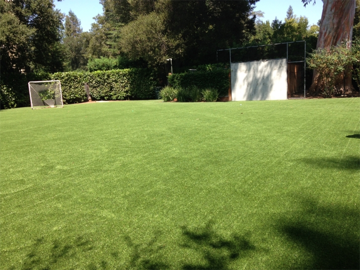 Artificial Grass Carpet Arcadia, Florida High School Sports, Backyard Landscaping