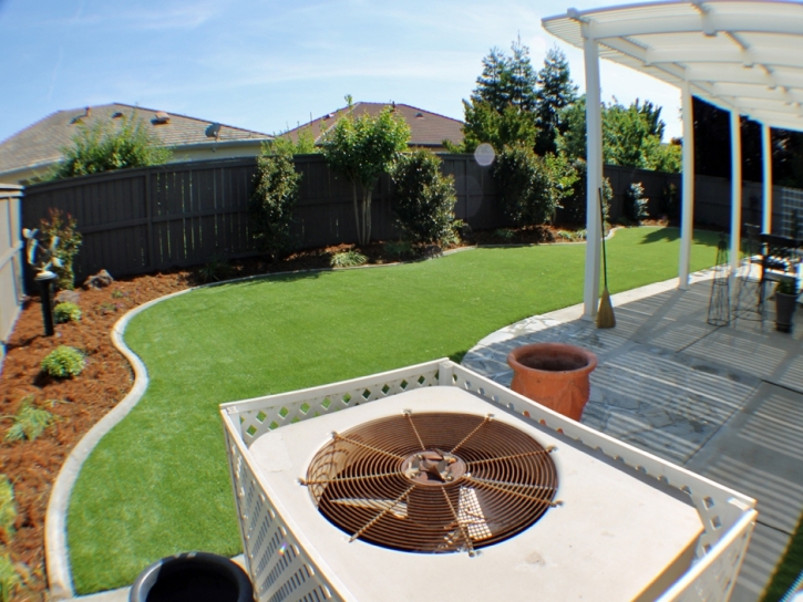 Artificial Grass Carpet Cooper City, Florida Backyard Playground, Backyard Landscape Ideas