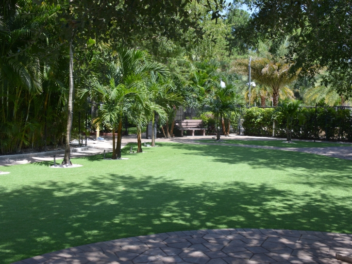 Artificial Grass Carpet Norland, Florida Roof Top, Pavers