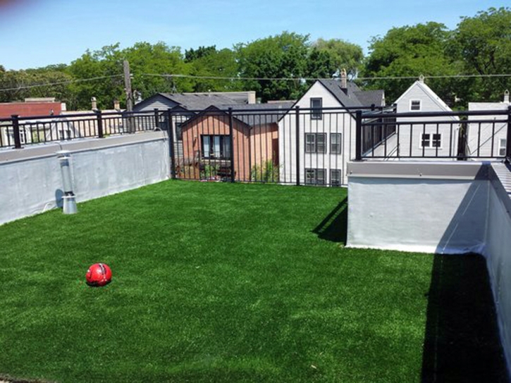 Artificial Grass Clearwater, Florida Dog Running, Deck