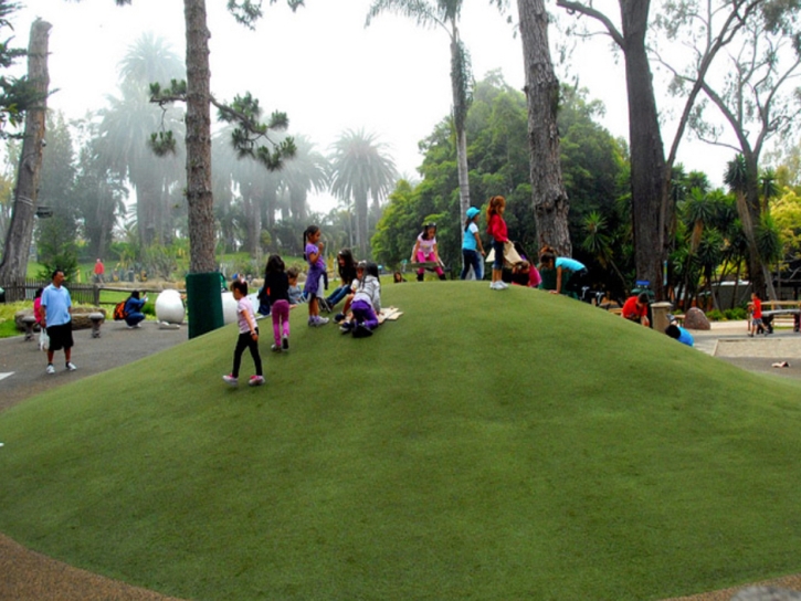 Artificial Grass Installation Greater Northdale, Florida Roof Top, Recreational Areas