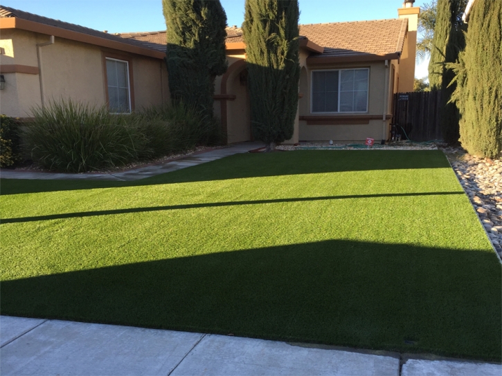 Artificial Grass Lauderdale Lakes, Florida Backyard Playground, Small Front Yard Landscaping