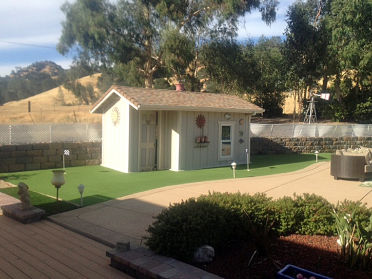 Artificial Grass Sarasota Springs, Florida Putting Green, Commercial Landscape