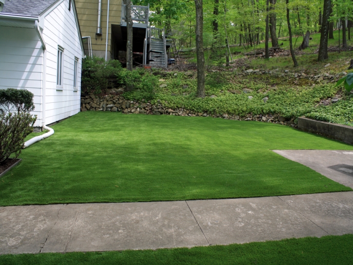 Artificial Grass Wildwood, Florida Backyard Playground, Landscaping Ideas For Front Yard