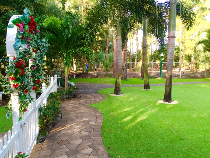 Artificial Lawn Hialeah Gardens, Florida Landscape Design, Backyard Design