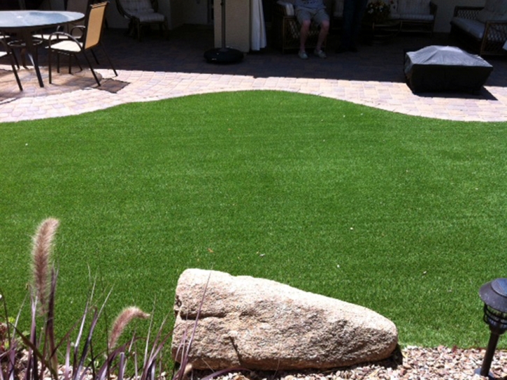 Artificial Lawn North Port, Florida Artificial Grass For Dogs, Backyard Ideas