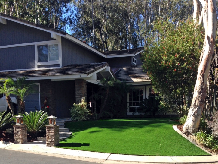 Artificial Lawn Winter Park, Florida City Landscape, Landscaping Ideas For Front Yard
