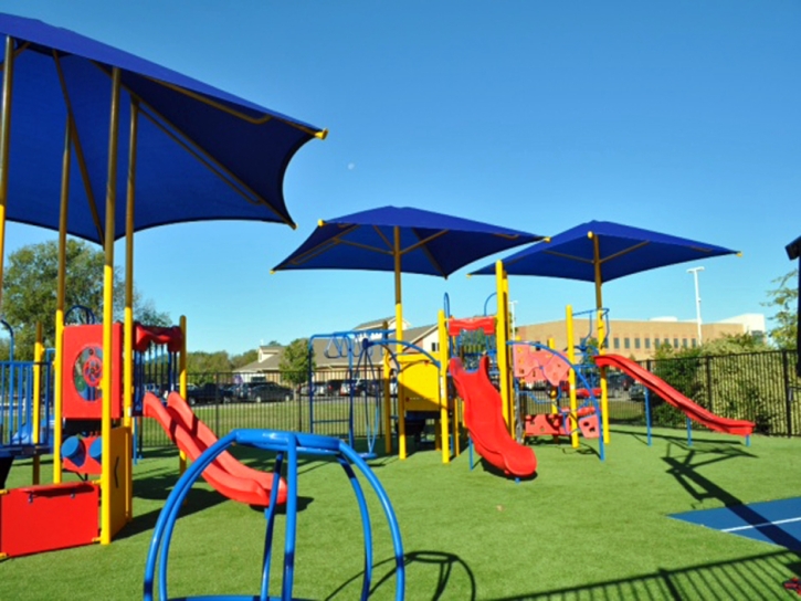 Artificial Turf Cost Carrollwood, Florida Playground Safety, Recreational Areas