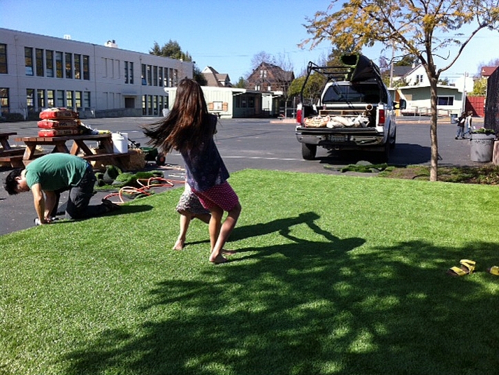 Artificial Turf Cost Tavares, Florida City Landscape, Commercial Landscape