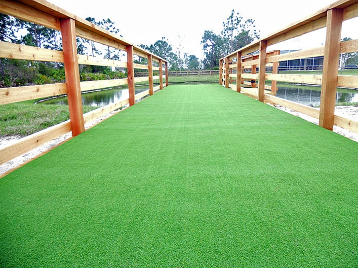 Artificial Turf Cost Wauchula, Florida Landscape Photos, Commercial Landscape