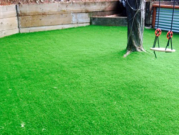 Artificial Turf Edgewater, Florida Athletic Playground, Backyard Garden Ideas