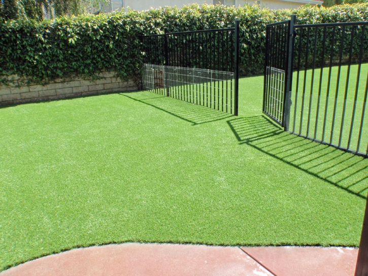 Artificial Turf Heathrow, Florida Dog Grass, Landscaping Ideas For Front Yard