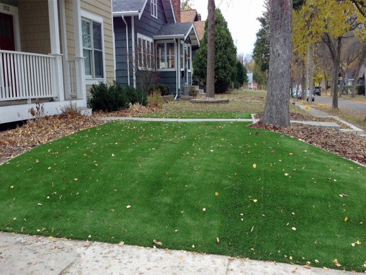 Artificial Turf Installation Alafaya, Florida Garden Ideas, Front Yard