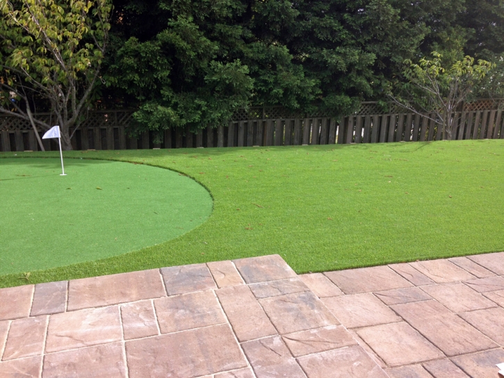 Artificial Turf Installation East Lake-Orient Park, Florida Paver Patio, Small Backyard Ideas