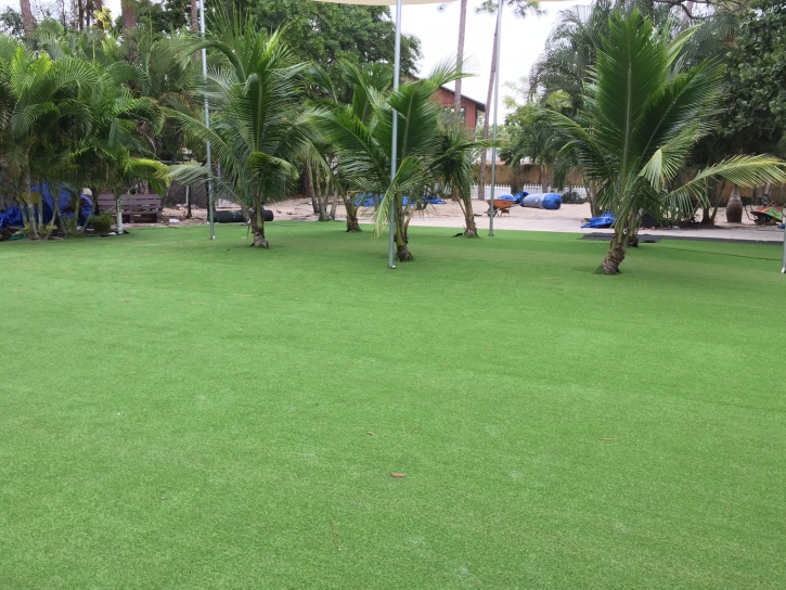 Artificial Turf Installation Kendale Lakes, Florida Landscape Design, Commercial Landscape