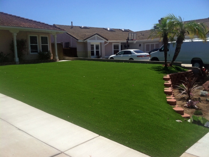 Artificial Turf Ocoee, Florida Lawns, Front Yard Landscaping