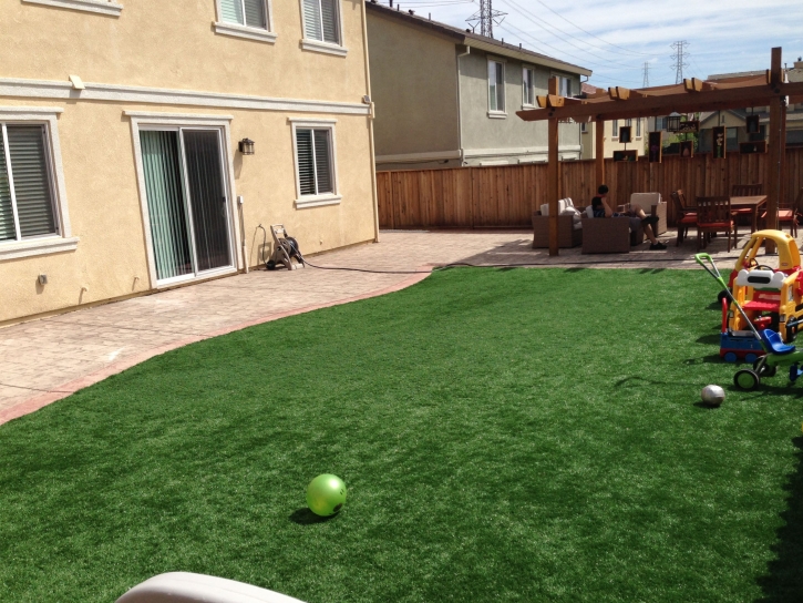 Artificial Turf The Hammocks, Florida Lawn And Garden, Beautiful Backyards