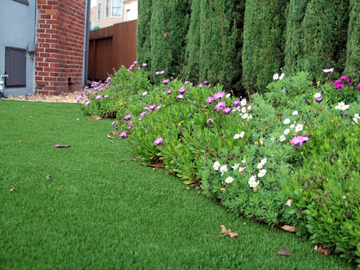 Best Artificial Grass Bithlo, Florida Backyard Playground, Small Front Yard Landscaping