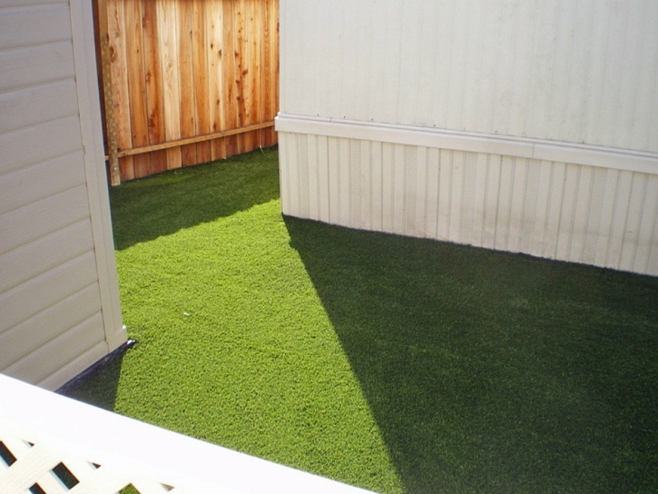 Best Artificial Grass Fort Pierce North, Florida Dog Pound, Backyard Landscaping Ideas