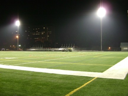 Best Artificial Grass Naples Park, Florida Bocce Ball Court