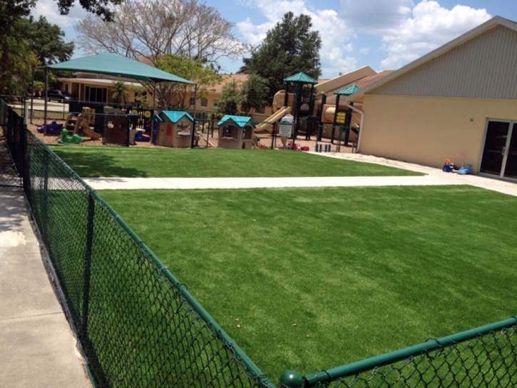 Best Artificial Grass Shady Hills, Florida Landscape Design, Commercial Landscape