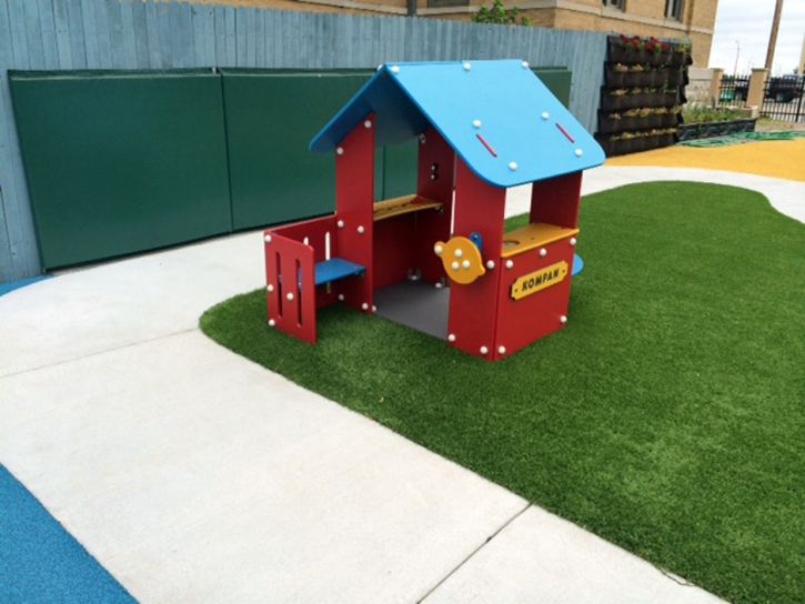 Fake Grass Carpet Safety Harbor, Florida Indoor Playground, Commercial Landscape