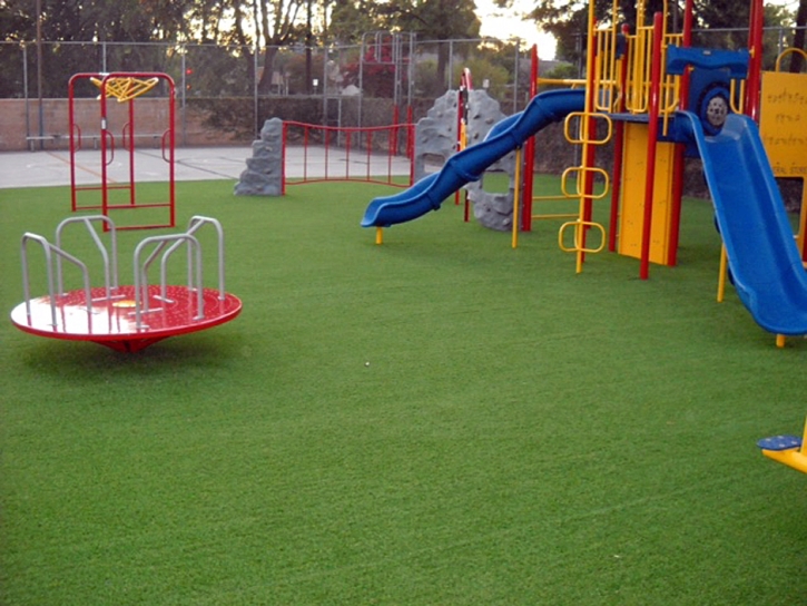 Fake Grass Carpet South Gate Ridge, Florida Landscaping, Parks