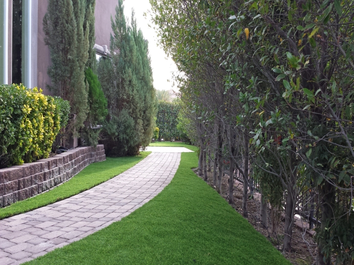 Fake Lawn Coral Springs, Florida Rooftop, Front Yard Design