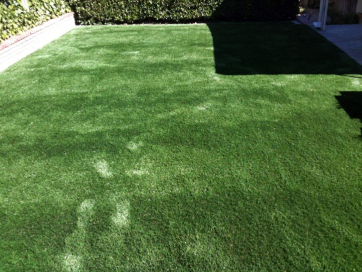 Fake Lawn McGregor, Florida Backyard Playground, Backyard Ideas