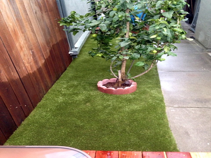 Fake Lawn Merritt Island, Florida Hotel For Dogs, Small Backyard Ideas