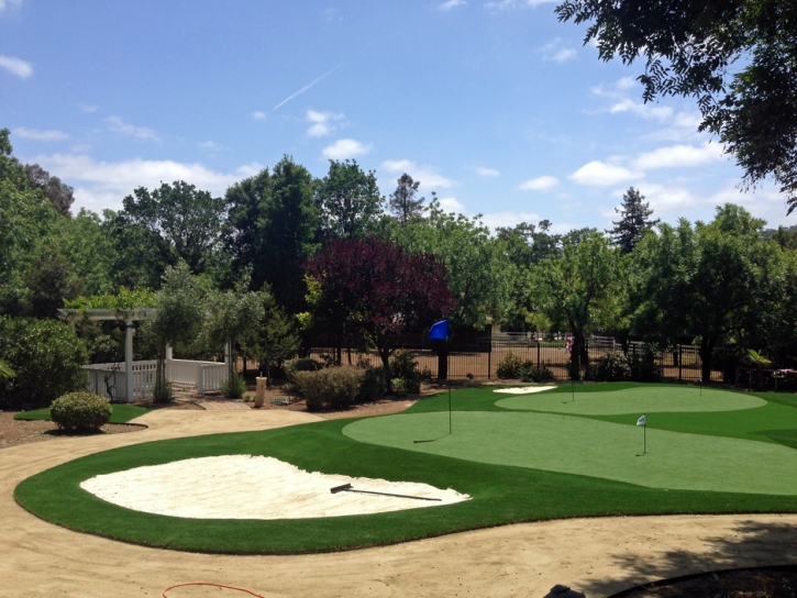 Fake Lawn Oldsmar, Florida Gardeners, Front Yard Landscaping