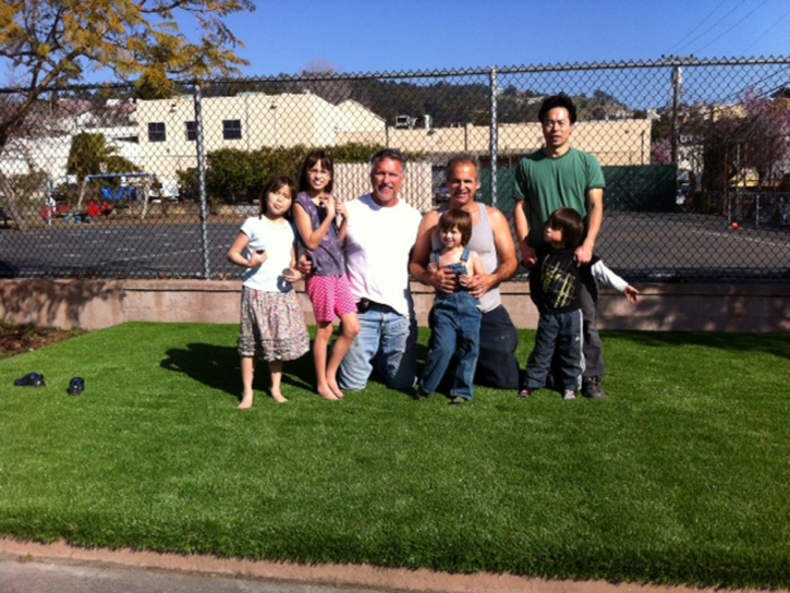 Fake Lawn Palm Springs, Florida Design Ideas, Commercial Landscape