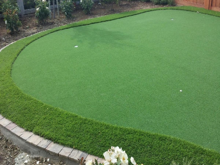 Fake Lawn Rockledge, Florida Home And Garden, Backyard Design