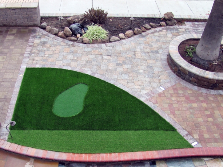 Fake Lawn Seffner, Florida Golf Green, Front Yard Ideas