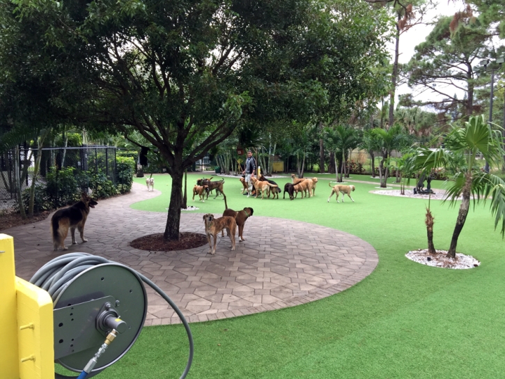 Fake Lawn Wellington, Florida Hotel For Dogs, Commercial Landscape