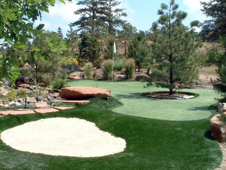 Fake Turf Altamonte Springs, Florida Backyard Playground, Backyard Makeover