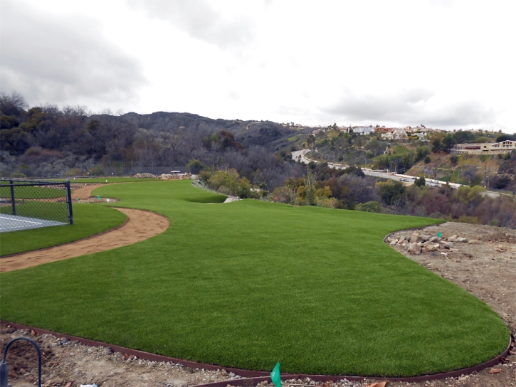 Fake Turf Boca Del Mar, Florida Backyard Sports