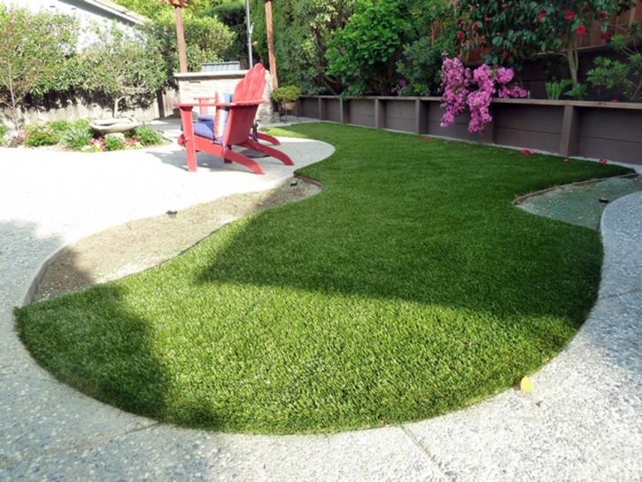 Fake Turf Citrus Springs, Florida Hotel For Dogs, Backyard Garden Ideas