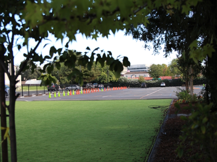 Fake Turf Coconut Creek, Florida Sports Turf, Commercial Landscape