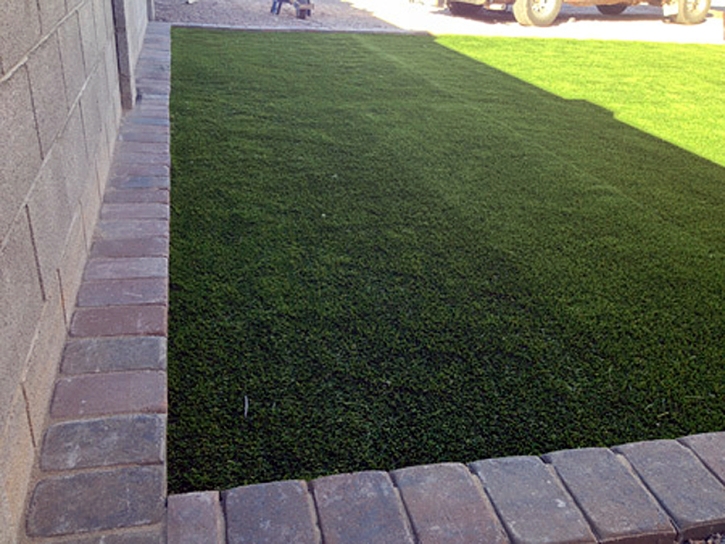 Fake Turf Royal Palm Beach, Florida Backyard Playground, Front Yard Landscaping Ideas