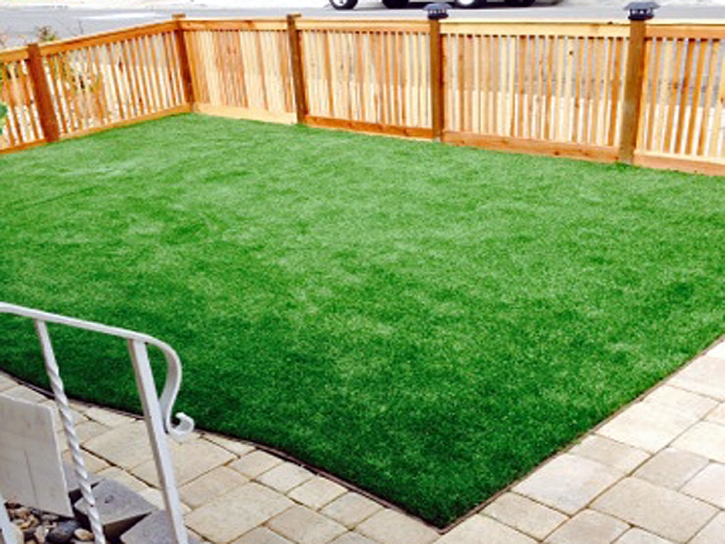 Fake Turf University Park, Florida Landscape Design, Backyard