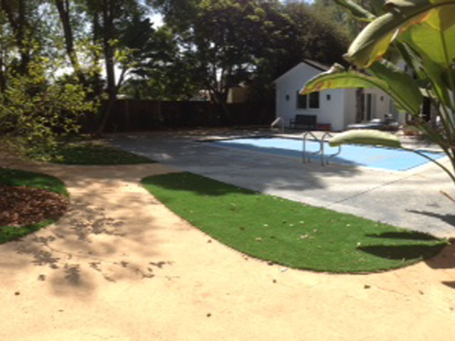 Faux Grass Miami Shores, Florida Landscape Design, Backyard Landscaping