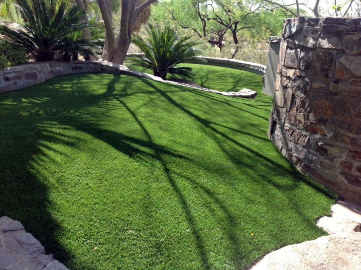 Faux Grass Punta Gorda, Florida Hotel For Dogs