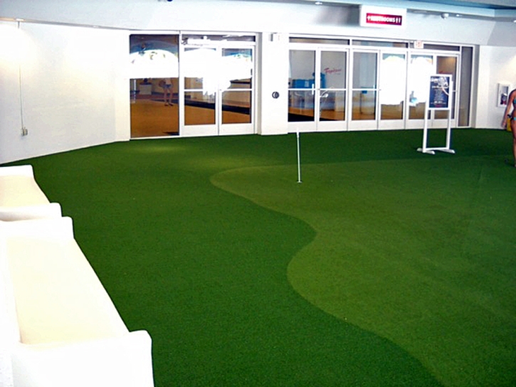Grass Carpet Citrus Park, Florida Artificial Putting Greens, Commercial Landscape
