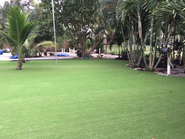 Grass Carpet Fountainebleau, Florida Backyard Playground, Commercial Landscape