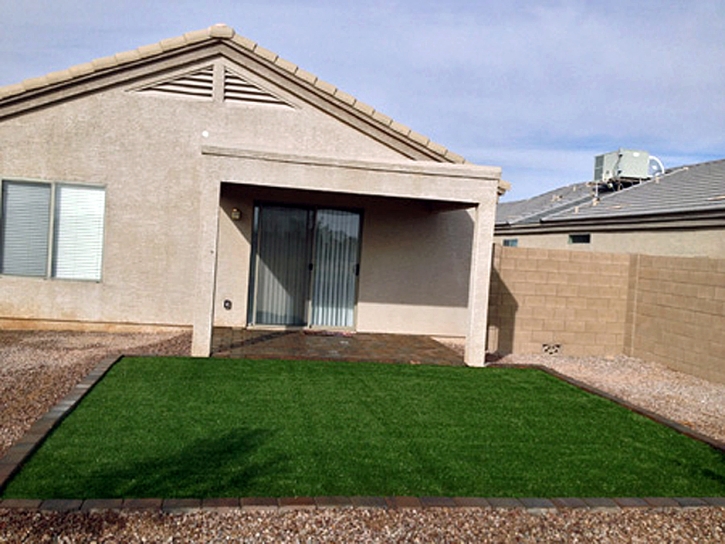 Grass Carpet Hutchinson Island South, Florida Roof Top, Backyard Design