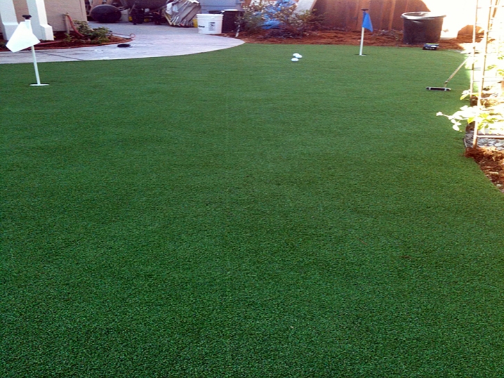Grass Carpet Immokalee, Florida Garden Ideas, Backyard Garden Ideas