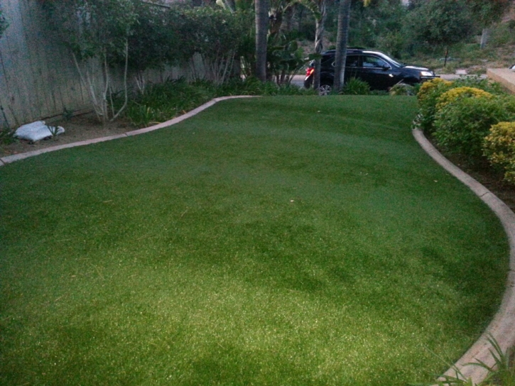 Grass Carpet New Smyrna Beach, Florida Home And Garden, Front Yard