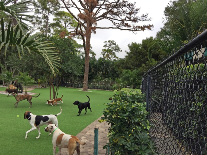 Grass Carpet South Patrick Shores, Florida Pictures Of Dogs, Commercial Landscape