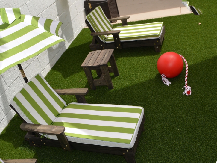 Grass Carpet Westchester, Florida Home And Garden, Backyard Garden Ideas